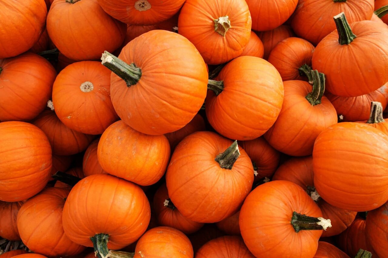 pumpkins