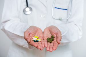 Doctor hand holding medical marijuana and prescription pills