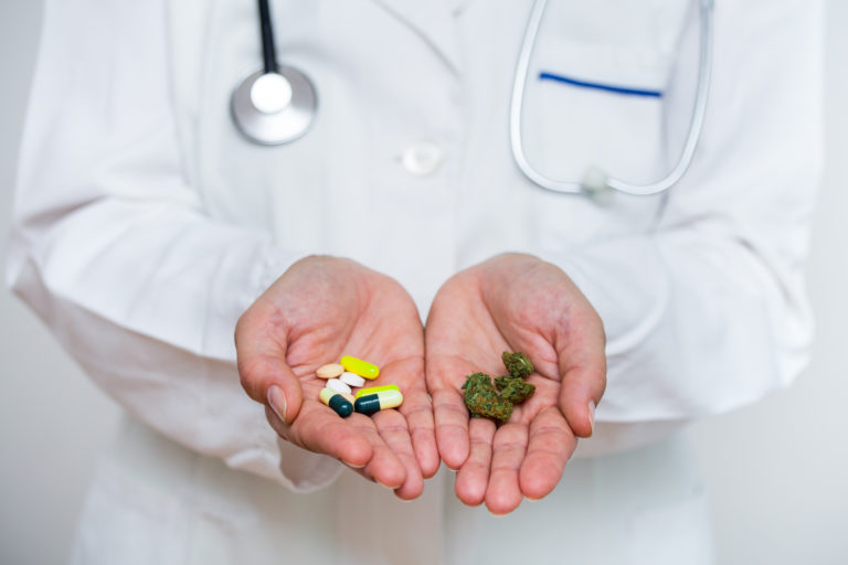 Doctor hand holding medical marijuana and prescription pills